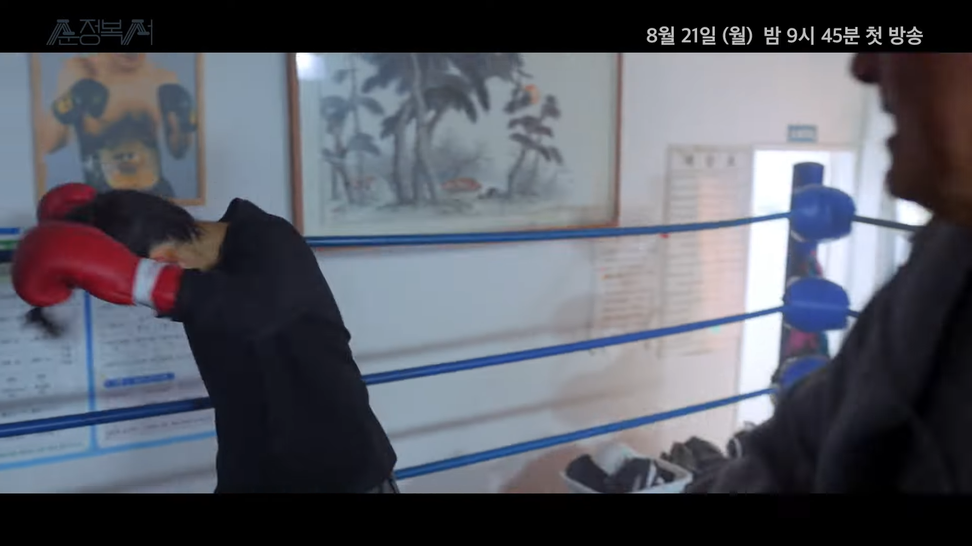 월화드라마 수목드라마 일일드라마