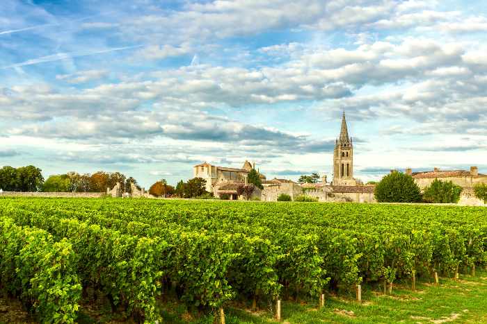 보드로 와인 지역 Bordeaux Wine Region