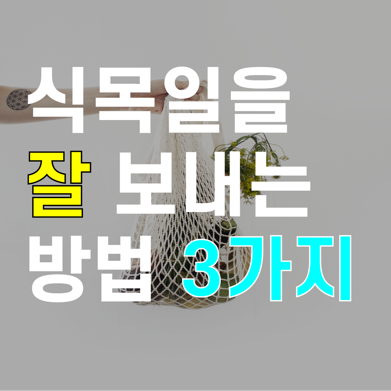  가족과 함께 식목일을 더 뜻깊게 보내는 3가지 방법 추천!