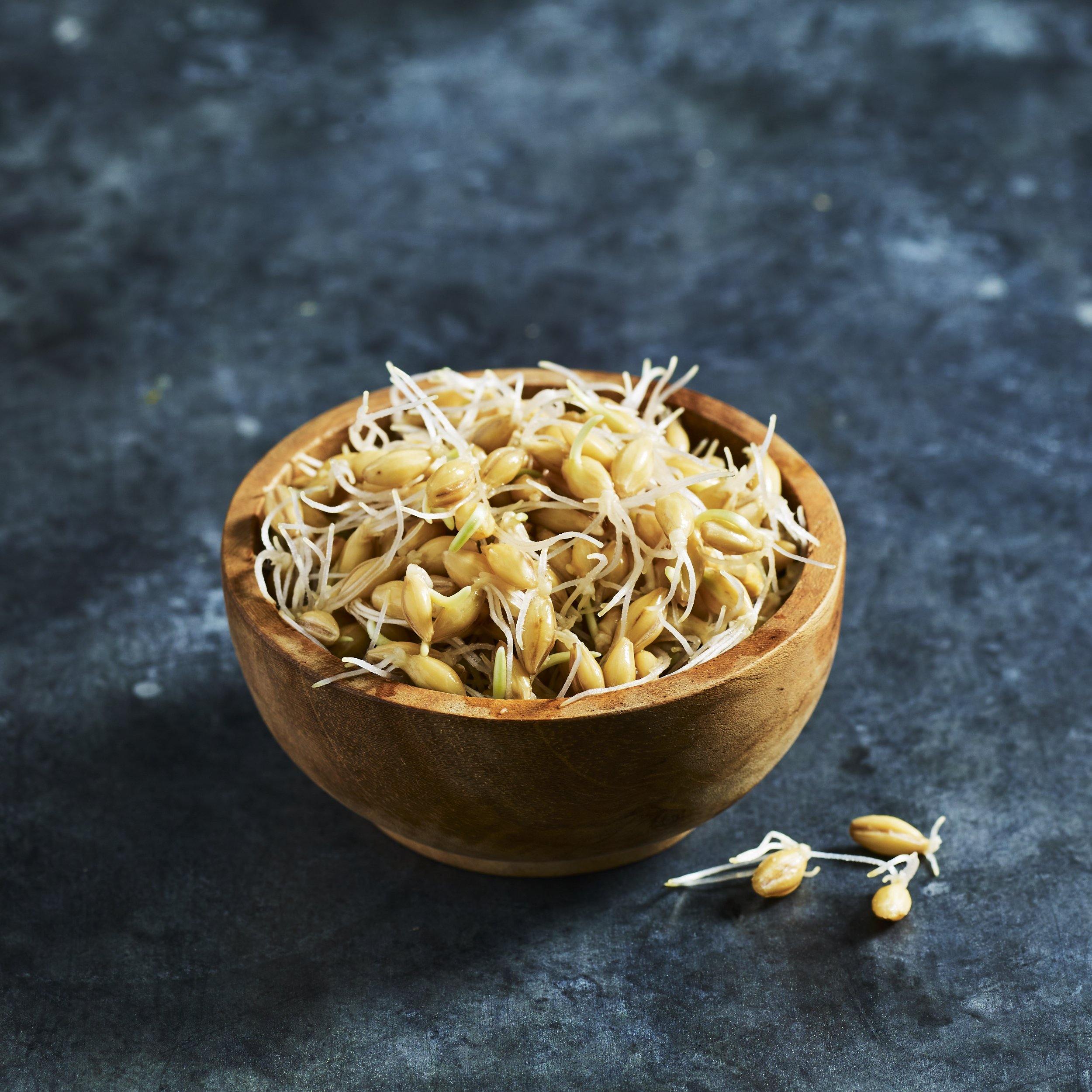 보리싹 싹의 7가지 효능과 부작용 48