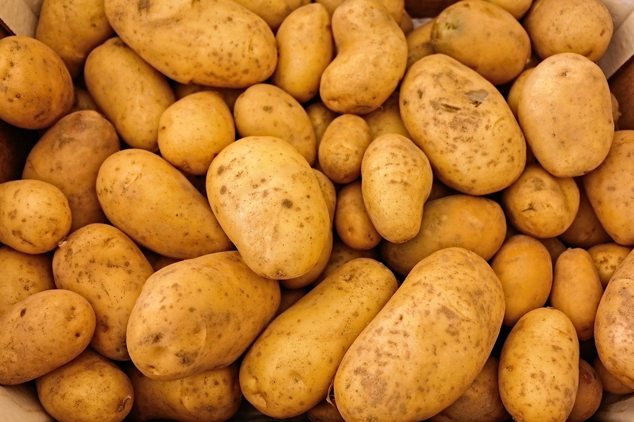  와싱톤 이야기
