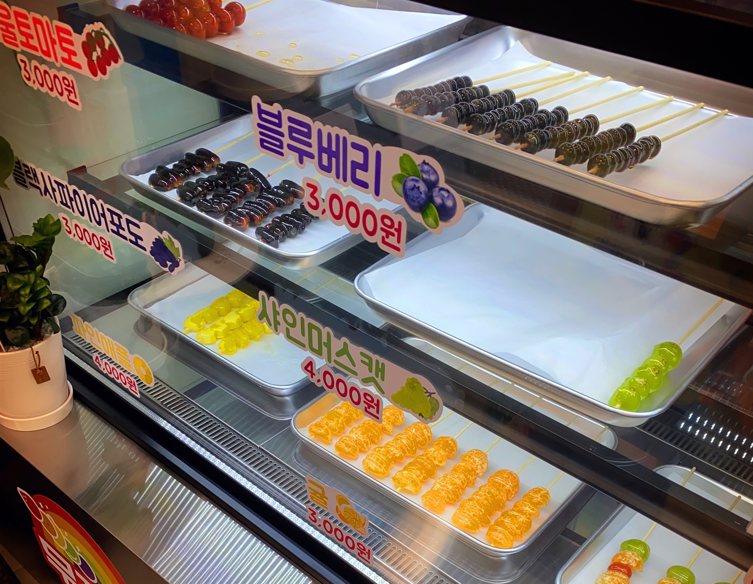  탕후루[먹어야?멀아야?]