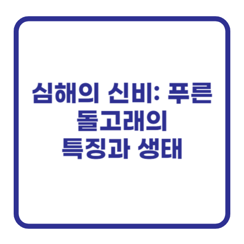 심해의 신비: 푸른 돌고래의 특징과 생태