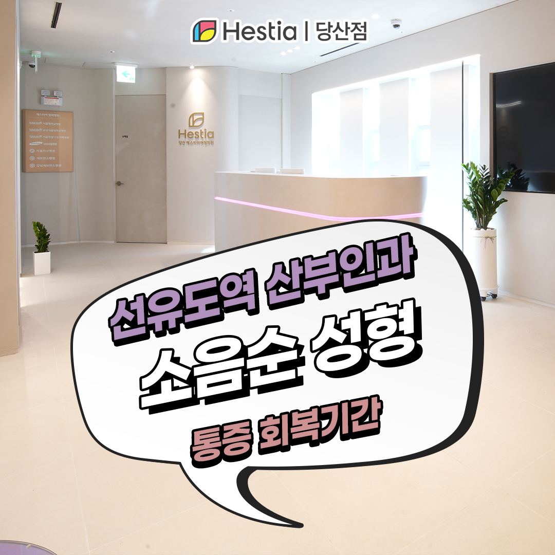 레이저 소음순 성형 궁금해요!