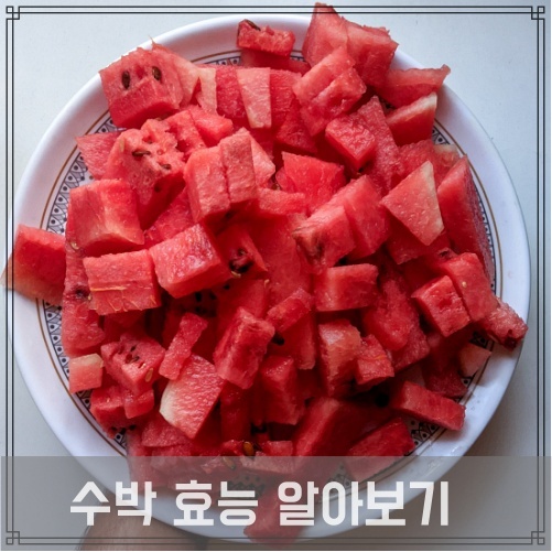  수박 효능 및 칼로리 혈압 '뚝'