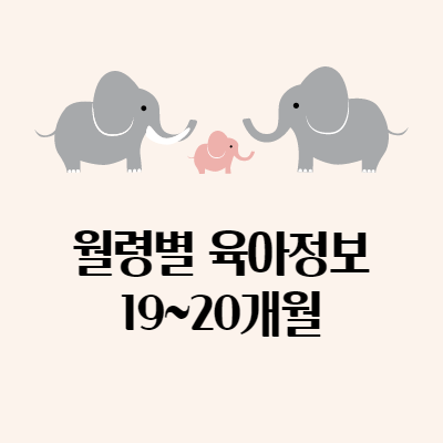  월령별 유아기 성장 - 19~20개월