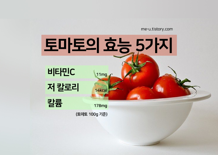 그릇에 담긴 토마토 사진 위로 토마토 효능 5가지, 저칼로리, 비타민C, 칼륨