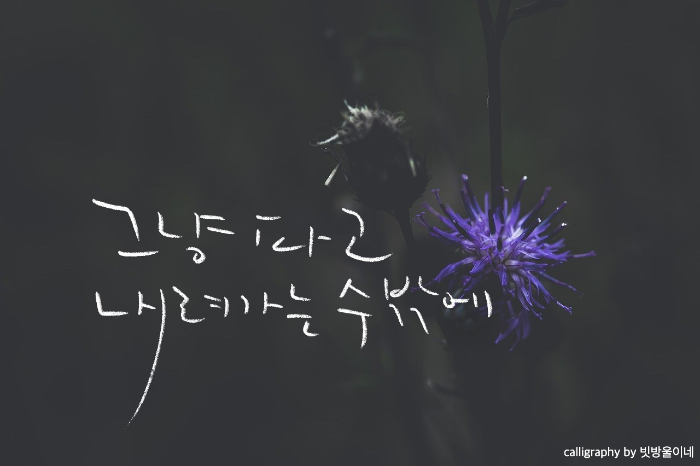 박진규시우엉이야기중에서
