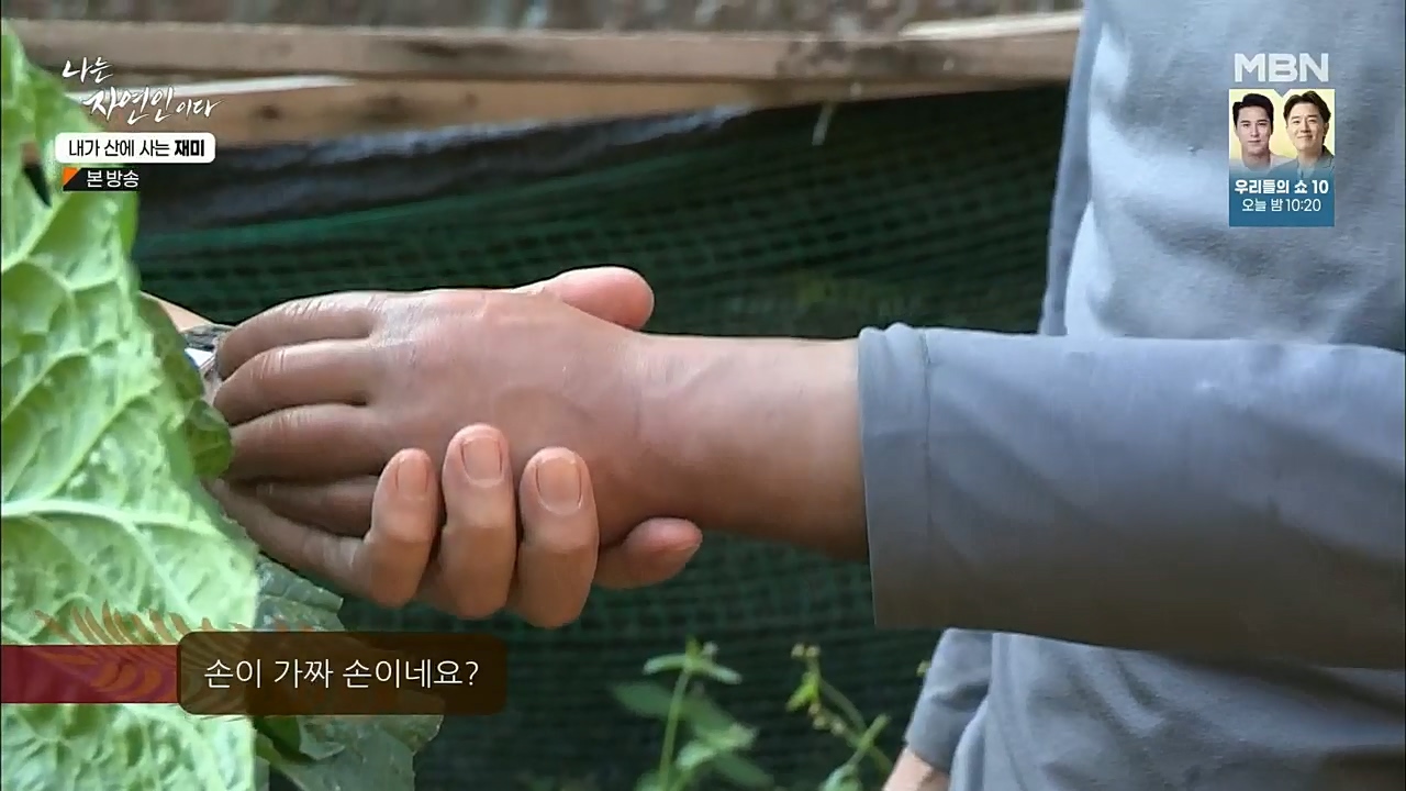 나는 자연인이다.E529.221124p.H264-F1RST.mp4_20221124_194722.352.jpg