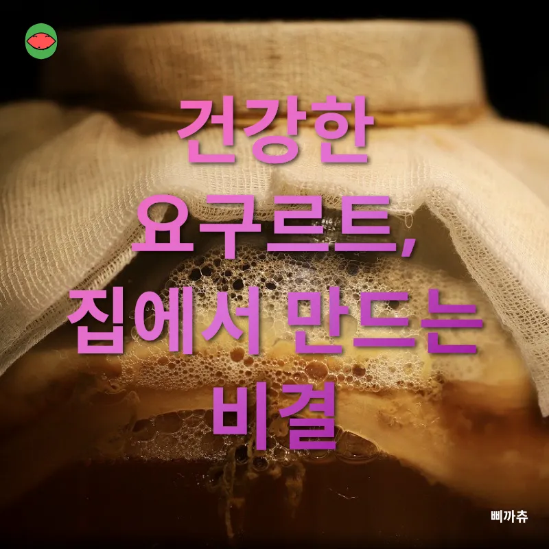 가정용 발효기_1
