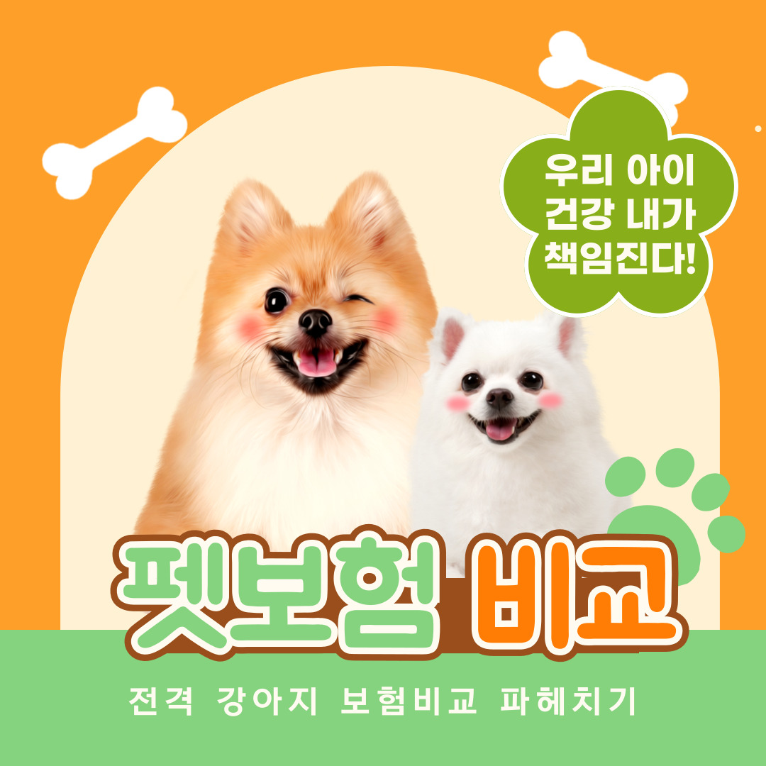 강아지 보험 비교(반려견을 위한 최고의 선택은?)관련입니다.