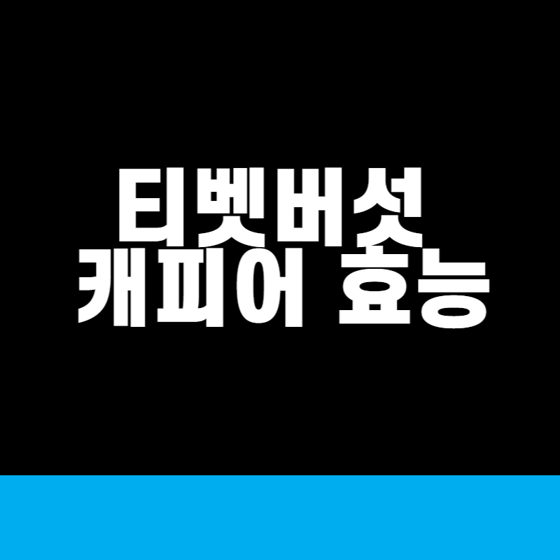 티벳버섯 캐피어 유산균 효능