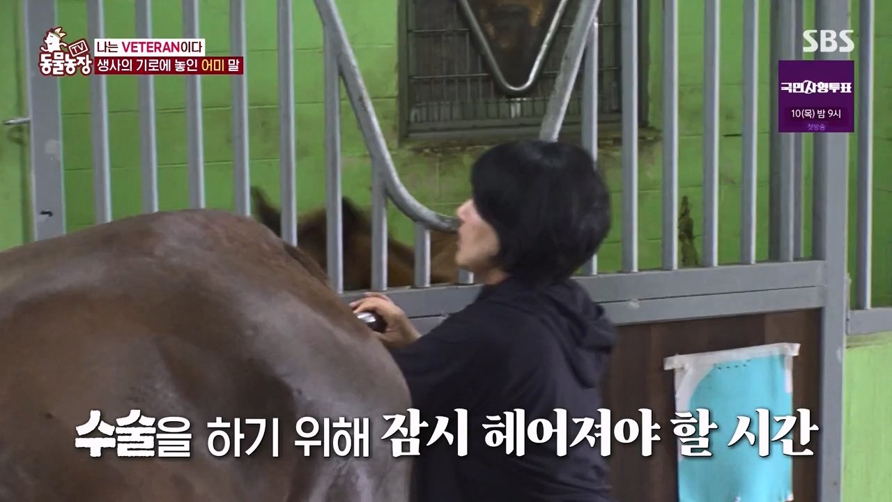 TV 동물농장.E1132.230807p-NEXT.mp4_20230806_164230.313.jpg