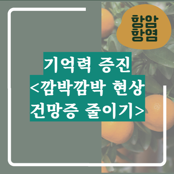 항암&#44; 항염&#44; 기억력 증진(건망증&#44; 깜박깜박현상)에 좋은 식품&#44; 영양소