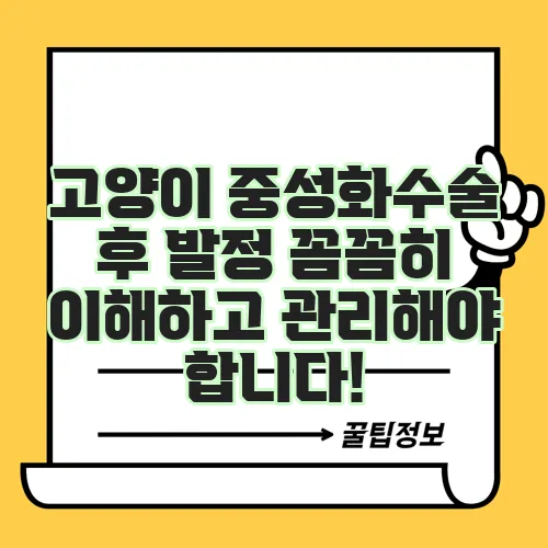고양이 중성화수술 후 발정 꼼꼼히 이해하고 관리해야 합니다!