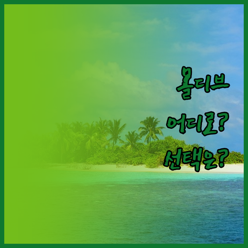 몰디브 리조트 완전 정복! 섬머 아일
