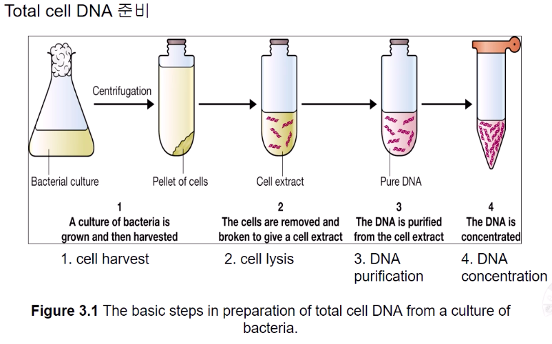 article thumbnail image