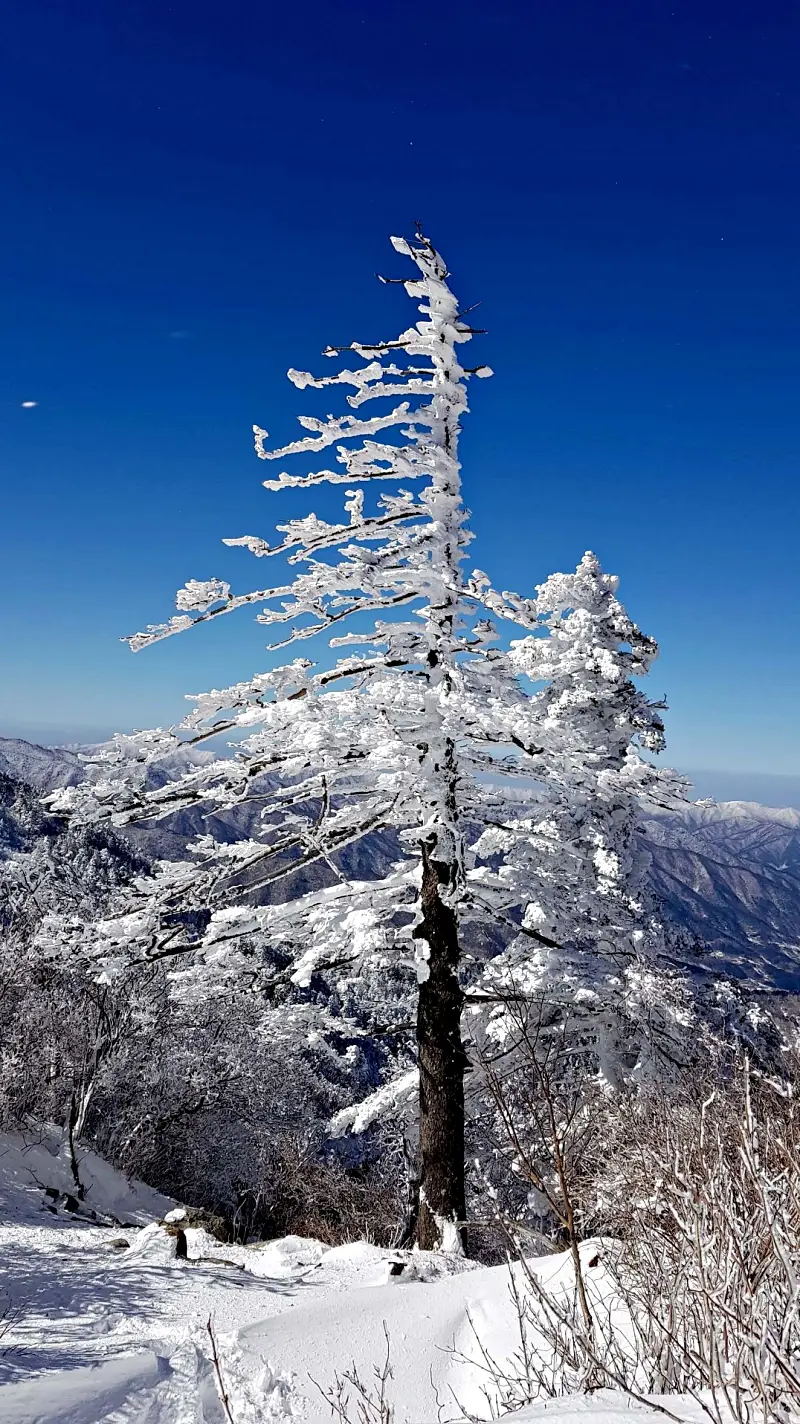 지리산 설경 상고대