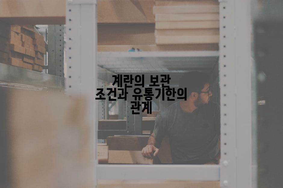 계란의 보관 조건과 유통기한의 관계