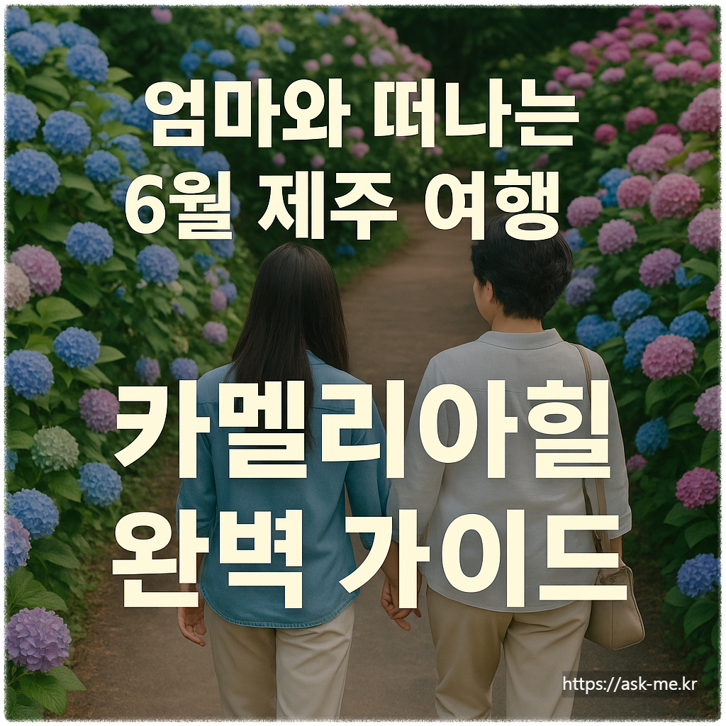 🍊"엄마와 떠나는 6월 제주 여행, 꼭 가봐야 할 힐링 명소 ‘카멜리아힐’