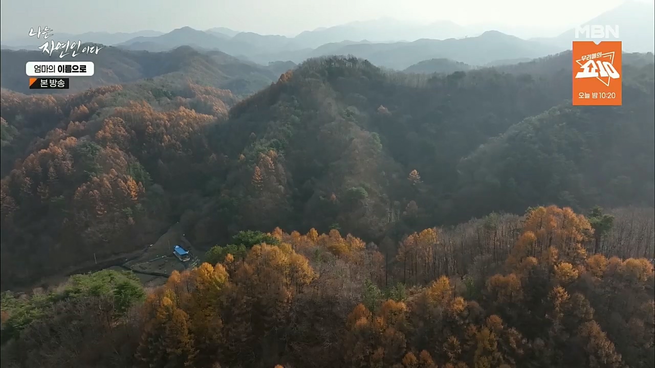 나는 자연인이다.E531.221208p.H264-F1RST.mp4_20221208_204229.994.jpg