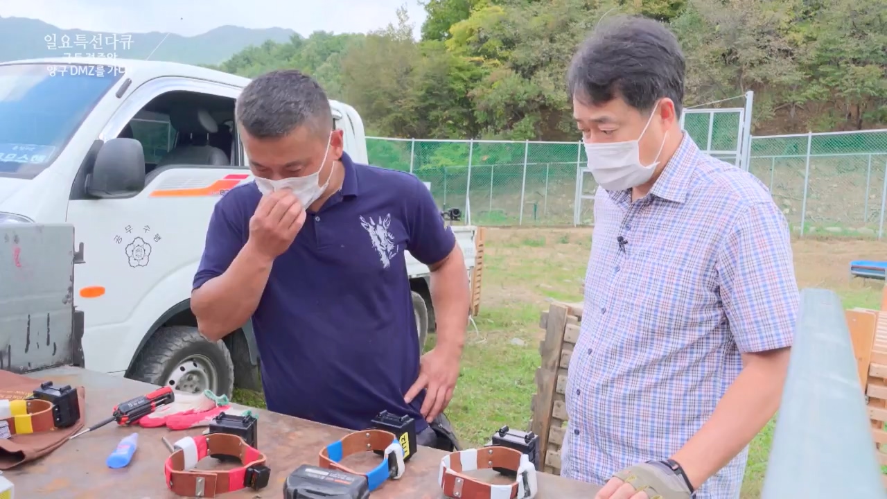 일요특선 다큐멘터리.E344.231204p-NEXT.mp4_20231206_194847.105.jpg