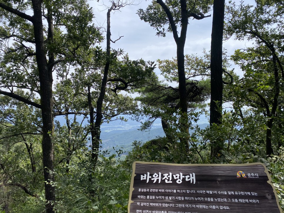 홍길동이 다녀간 37