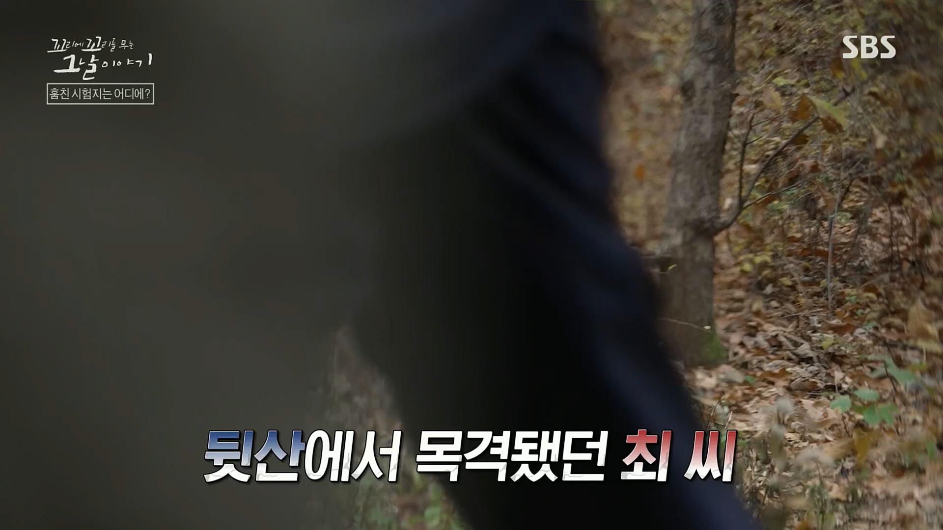 꼬리에꼬리를무는그날이야기.E56.221208p.H264-F1RST.mp4_20221211_134048.449.jpg
