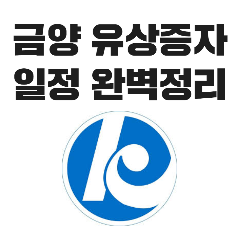 금양 유상증자