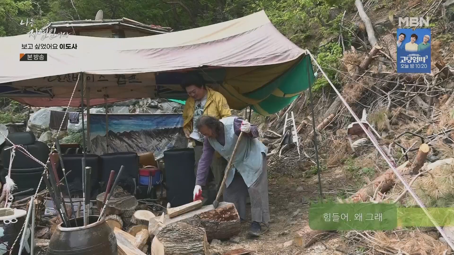 나는 자연인이다.E553.230510p.H264-F1RST.mp4_20230511_195232.582.jpg