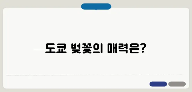 도쿄 벚꽃축제 일정 & 벚꽃 명소 베스트 5