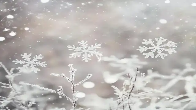 겨울여행-발왕산눈꽃