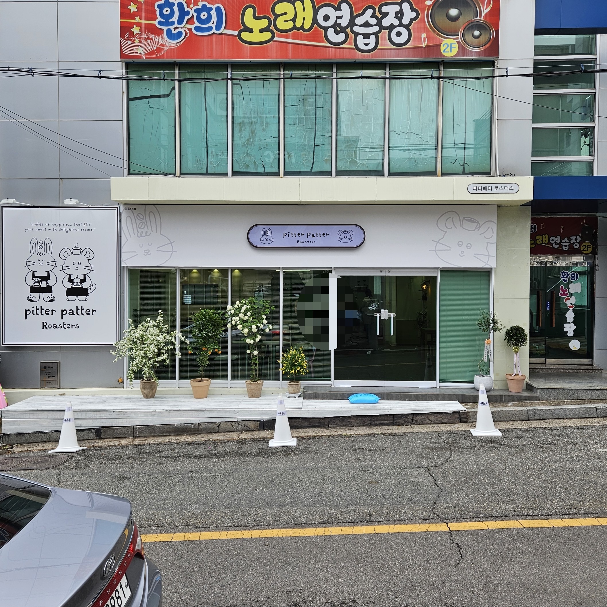 피터패터 이미지