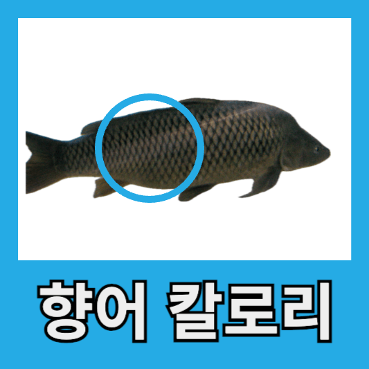 향어 칼로리