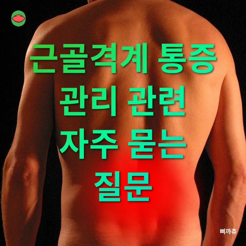 근골격계 통증 관리_4