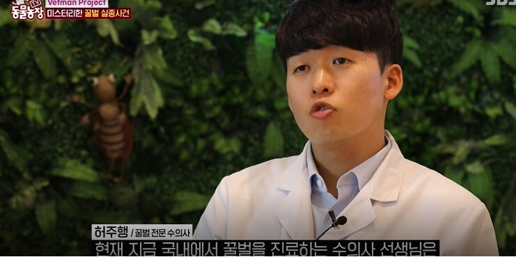 허주행-수의사
