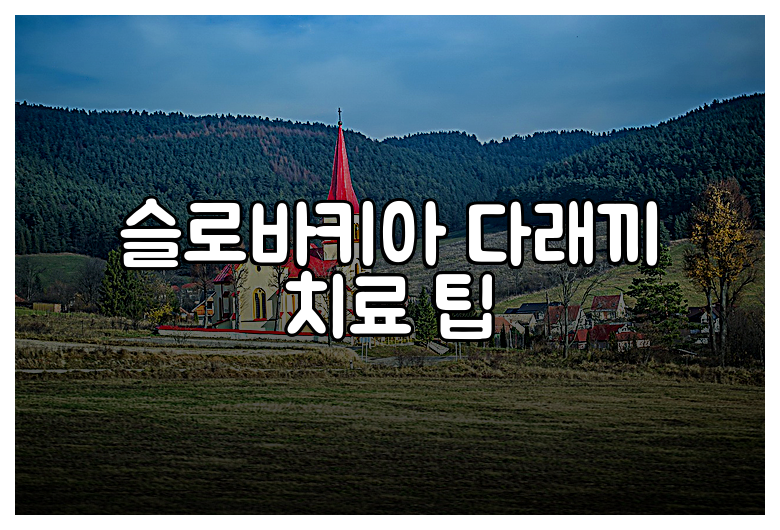 슬로바키아 다래끼 치료 팁