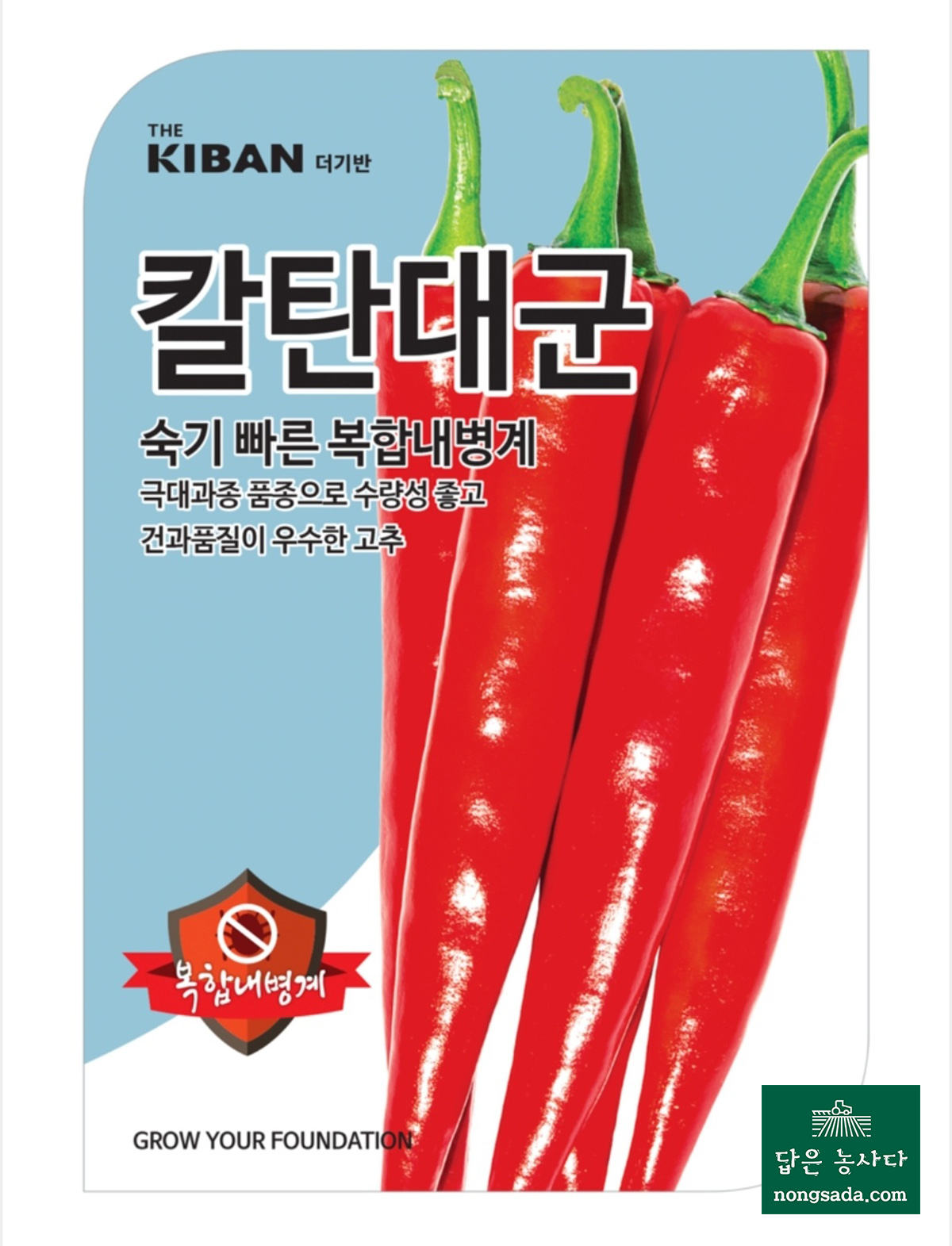 더기반 칼탄대군 고추 씨앗종자: 품질 좋고 수량 우수!