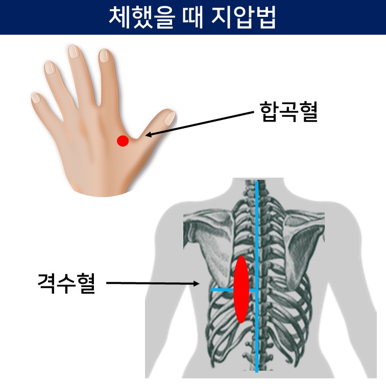 손-몸