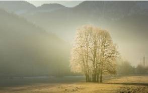 img.jpg