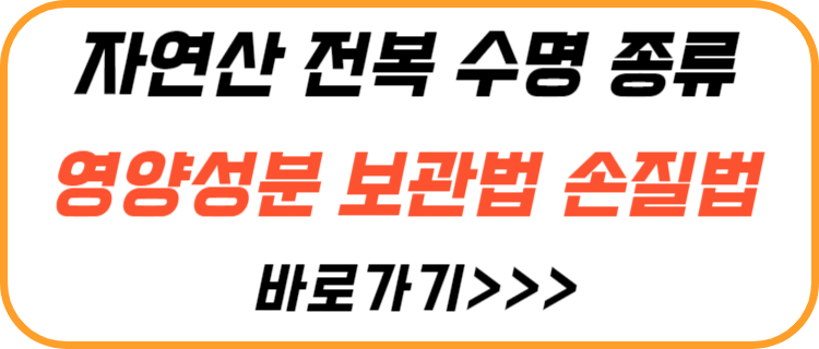 자연산-전복-수명-종류-손질법-보관법