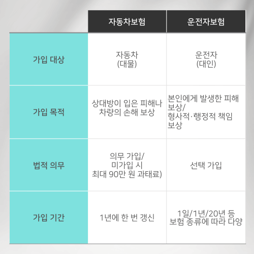 자동차보험-운전자보험-비교표