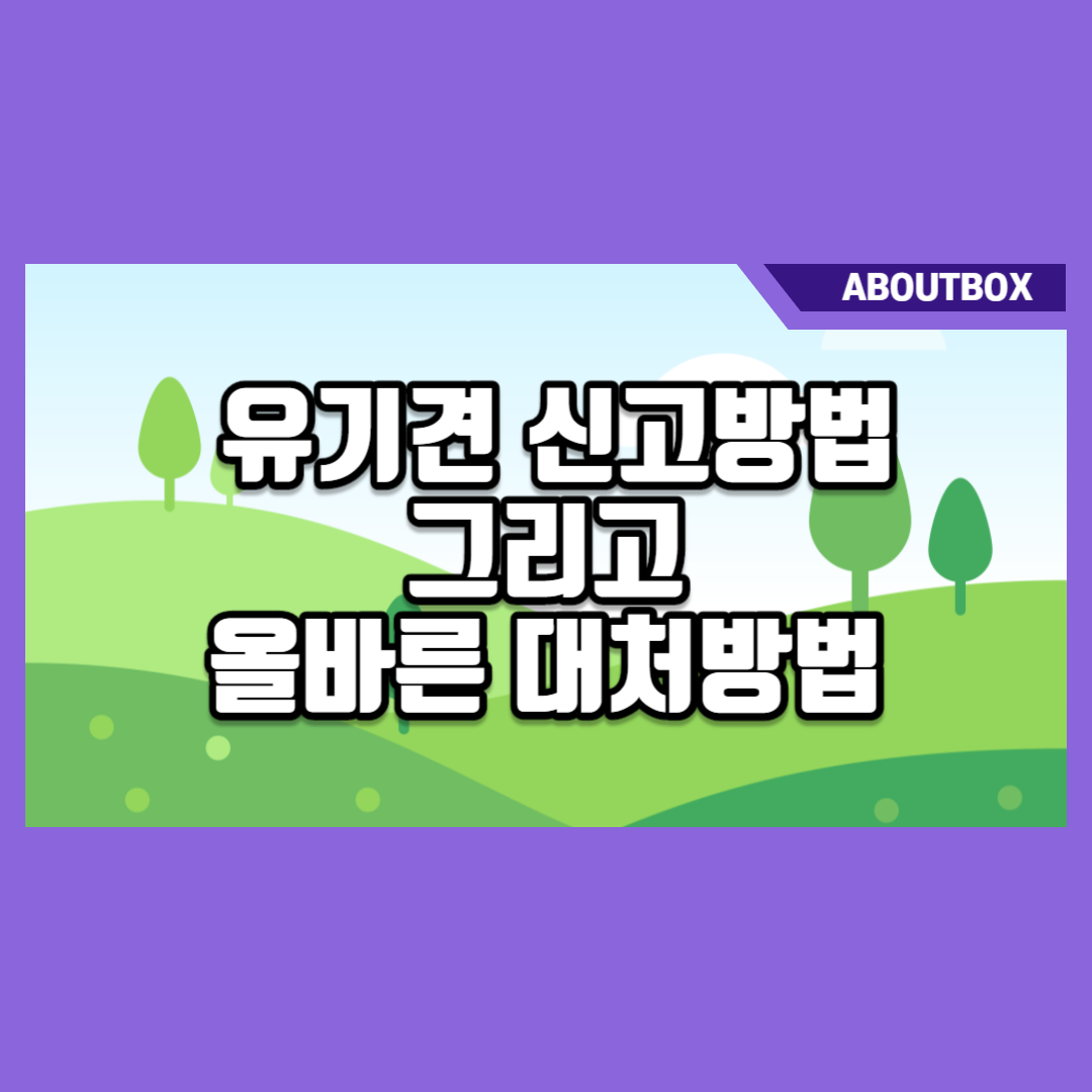  유기견 신고 방법 및 올바른 대응방법 공유