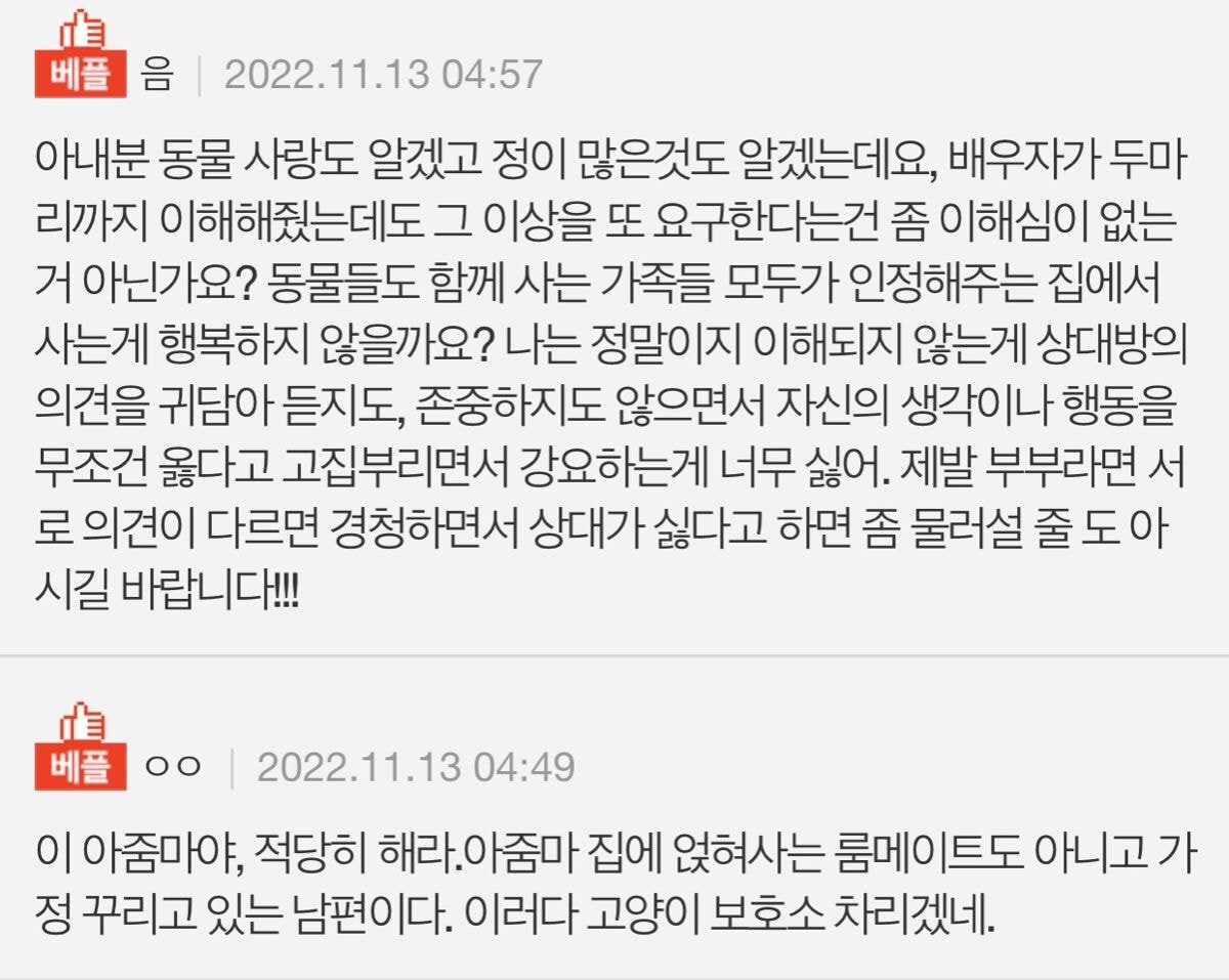 네이트판 고양이 이혼위기
