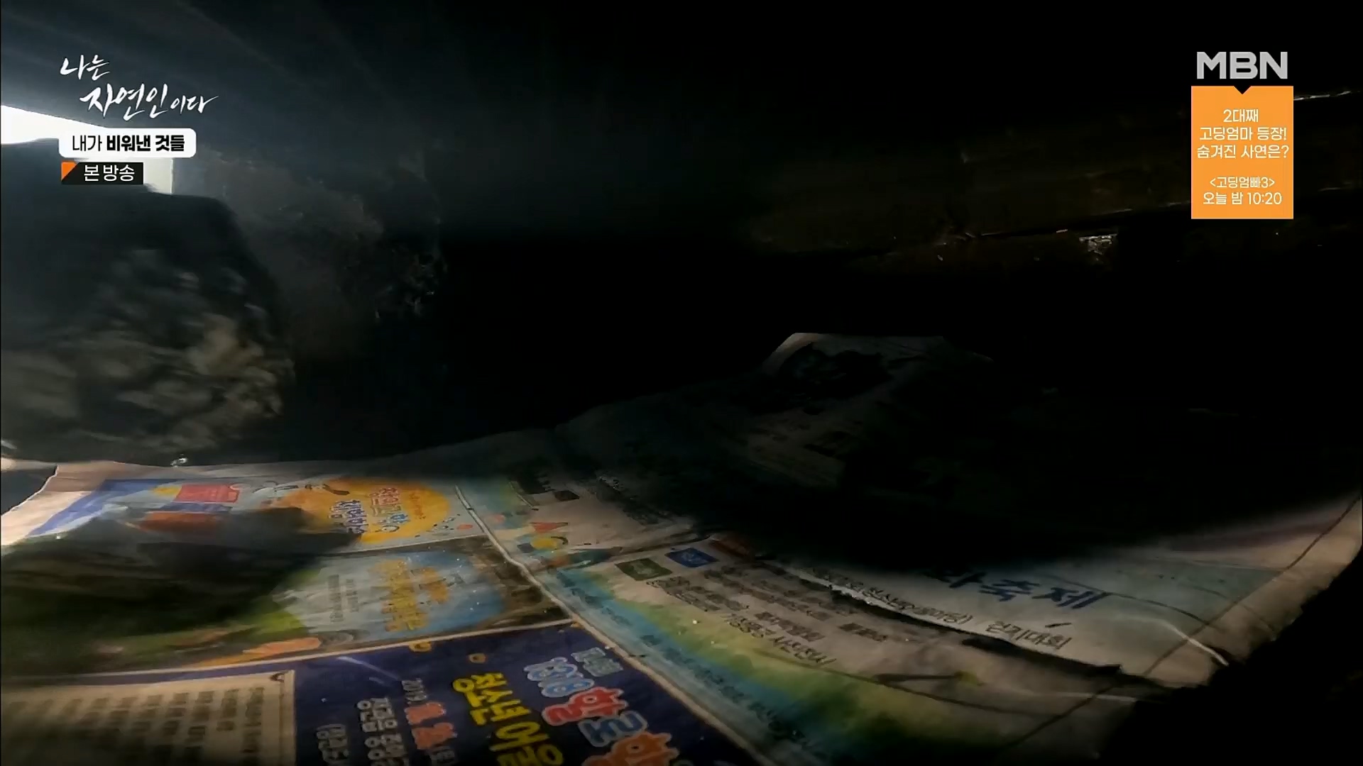 나는 자연인이다.E543.230301p.H264-F1RST.mp4_20230302_192650.915.jpg