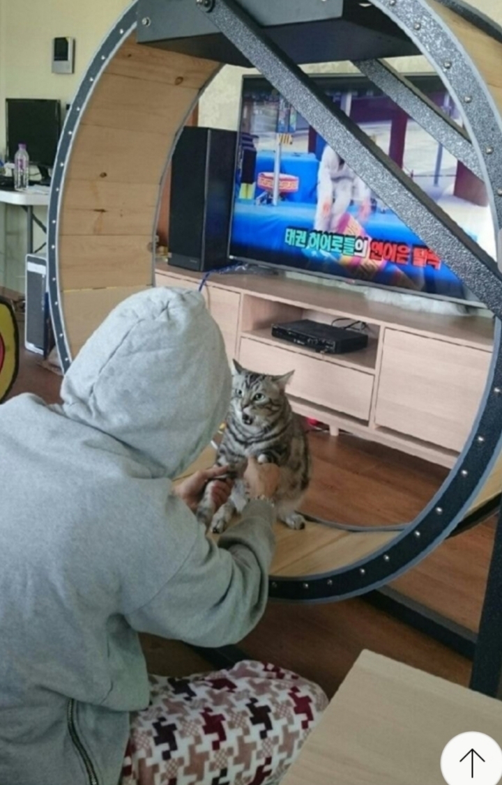   뚜뚜월드