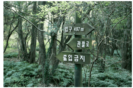 청수곶자왈 제주의 숨결이 살아 있는 숨은 여행지 ⓒ제주관광공사