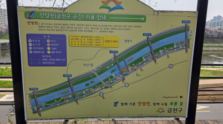 안양천 벚꽃길 사진1