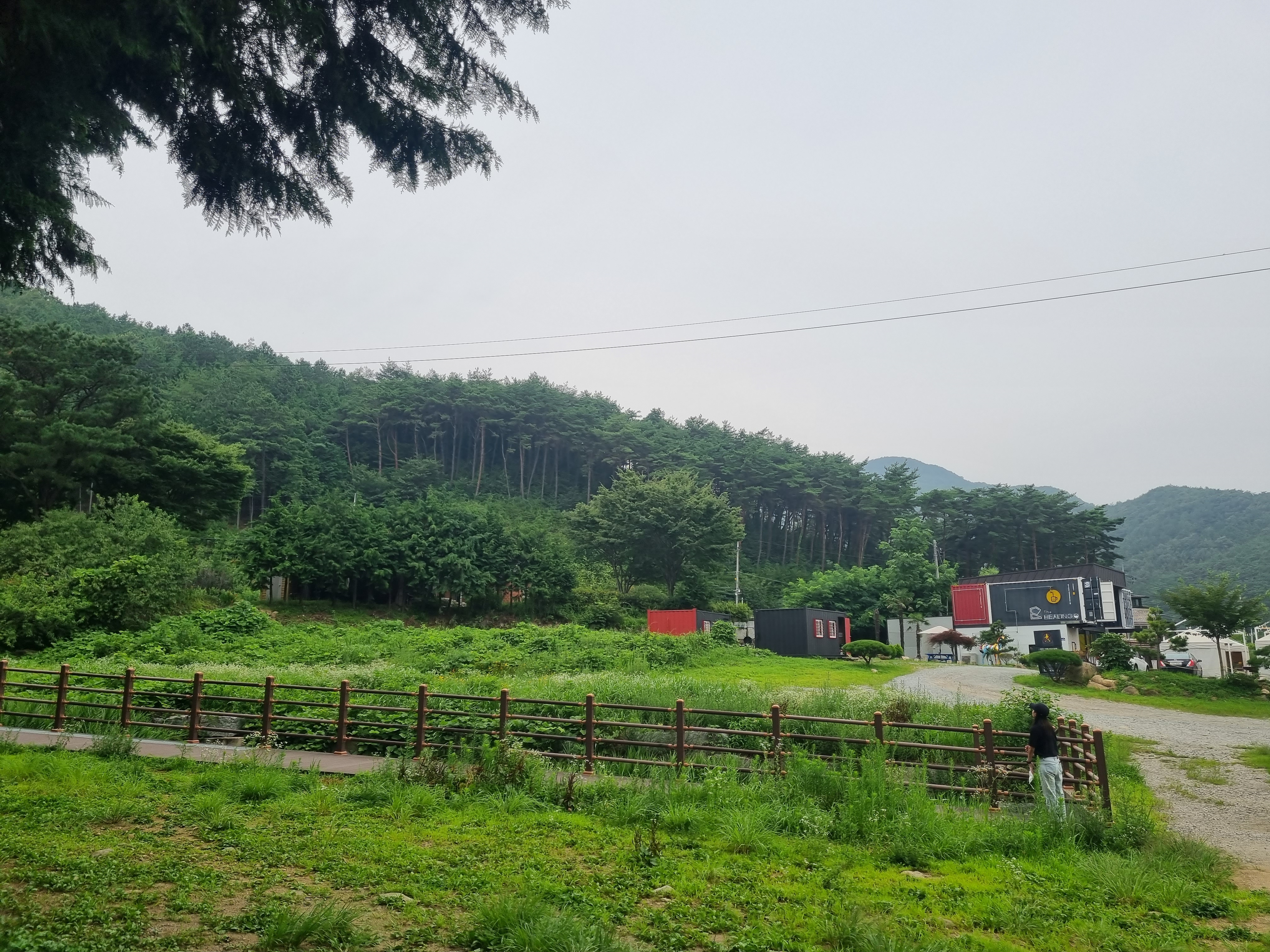 축령산_편백나무_숲_가는길