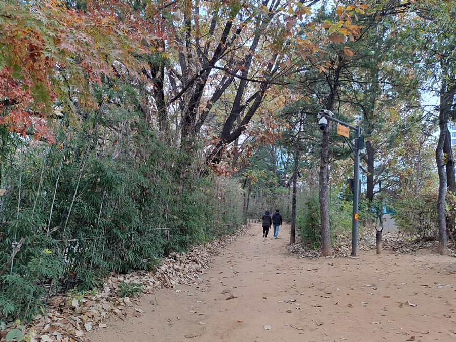 명상길_04
